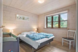 R962-Rodvig-Skovstumperne-12 - 1