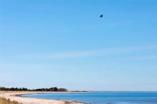 2305-Stege-Thujavej-2 - 9