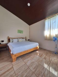 Monteverde Cecropia Paradise - 8