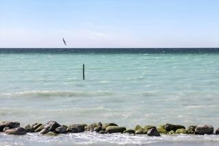 3047-Stege-Paelen-1 - Stege - 9