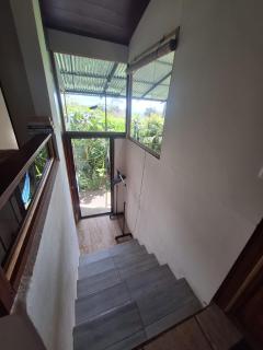 Monteverde Cecropia Paradise - 2