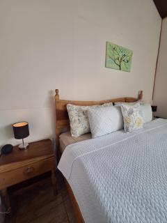 Monteverde Cecropia Paradise - 3