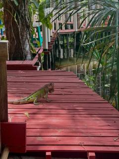 Pousada Vale dos Buritis - 4