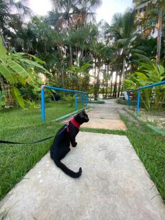 Pousada Vale dos Buritis - 3