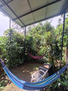 Monteverde Cecropia Paradise - 5