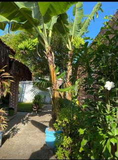 Casa Hostel Itaparica - 9