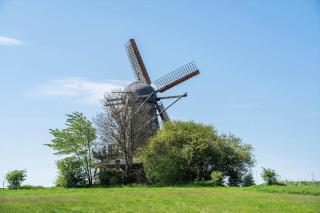 7057-Bogo-By-Mollebakken-67 - 9