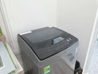 Cẩm Tú Cầu 101TK21 - 9