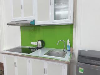 Cẩm Tú Cầu 101TK21 - 4