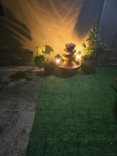 ptit coin hibiscus - 0