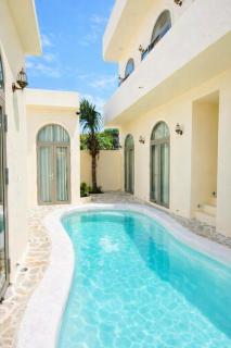 Le Cosmos 2 Vĩnh Hy - 1