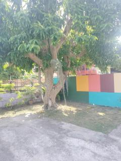 Soi Saliga - Rawai Beach - 8