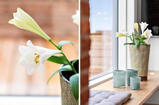 282-Harboore-Neerlandiavej-252 - 2