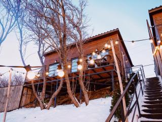 AlmaHouse Secluded Mountain Cabins - 5
