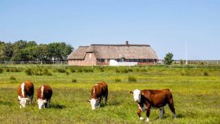 0002-Romo-Juvrevej-89 - 9