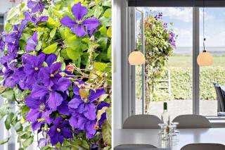 0268-Romo-Lyngvejen-99-Ap-31 - 5