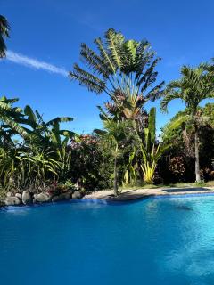 Villa tropicale avec piscine à 5 mn de la plage - 9
