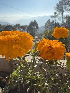 Ramashrya Homestay & cafe - 7