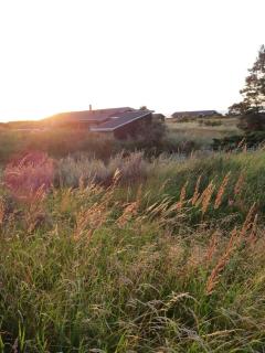 House On Natural Plot Overlooking The Dune - 9