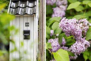 FJ1011-Jaegerspris-Barakvej-99 - 9