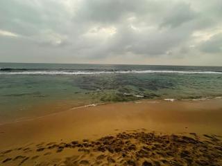 Priyantha's Place - 8