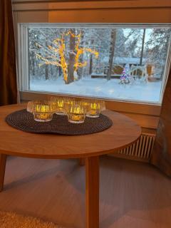 Arctic villa near Santa Park - 4