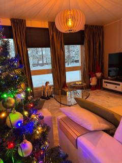 Arctic villa near Santa Park - 5