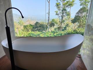 The Cozy Clouds Hill Stay - 4