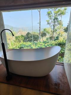 The Cozy Clouds Hill Stay - 3