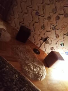 Просторная, двухкомнатная квартира в престижном районе города Баку - 4