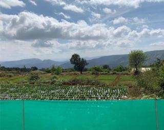 Shivshankar villa - 4