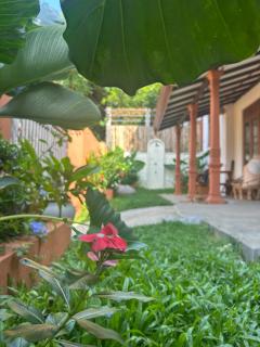 Bakamuna Coliving Villa near Hiriketiya - 4