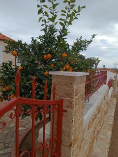 Grandmas Cottage - 8