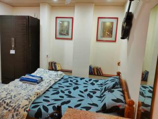Ebony Room - AC, Kitchenette, Ensuite, Independent Homestay - 8