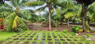 Wild Aura Villa Near Isha by Lbs-Shivalaya - 5