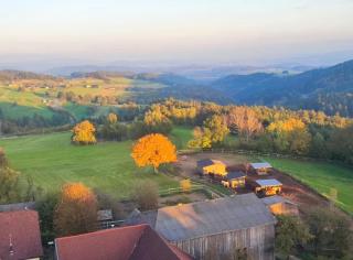 Ferienwohnung südliches Waldviertel am Pferdehof - 3