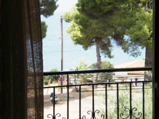Studios Rosa - Agia Paraskevi - 1