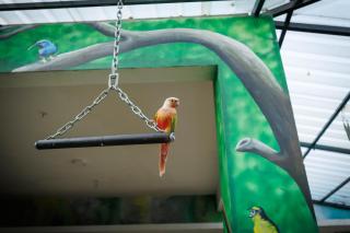 Blue Mirage Villa by StayJadeACPoolLawnJacuzzi - 5