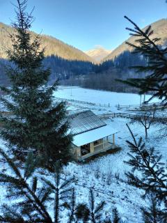 Будинок в Карпатах - 1