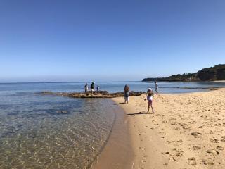 Birdrock Oasis in Mt Martha - 9