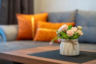 Zlatibor Apartman & SPA Pino Mons 1 - 3