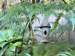 Ferntree Hollow - private, peaceful, walk to town - 1