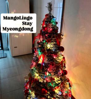 MangoLingo Stay Myeongdong, 명동 서울 - Seoul - 5