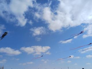 Apartment for rent with a magical view - 5