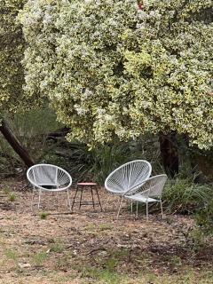 Miramar Cottage - Denmark - 6