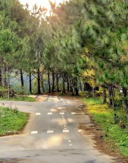 Phố Mây Homestay-Măng Đen - 1