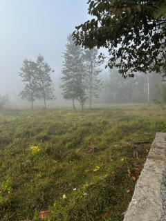 Sky Holiday Inn Cottages Madikeri Kushalnagar Coorg - 2