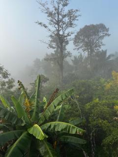 Sky Holiday Inn Cottages Madikeri Kushalnagar Coorg - 3