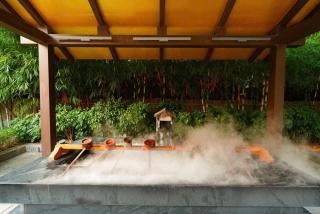 Lynn Times Thanh Thủy Hotel Onsen & Spa - 8