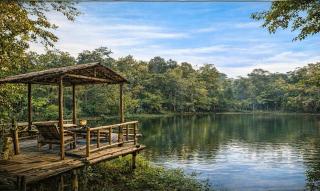 saagwana jungle villaa - 9